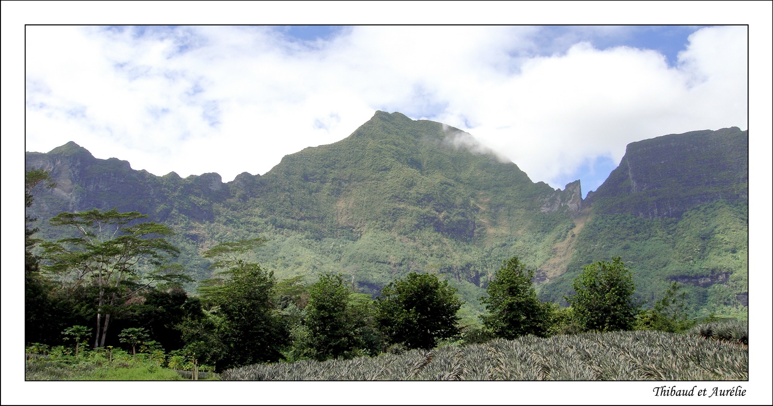 2009 - 08 - Moorea 26